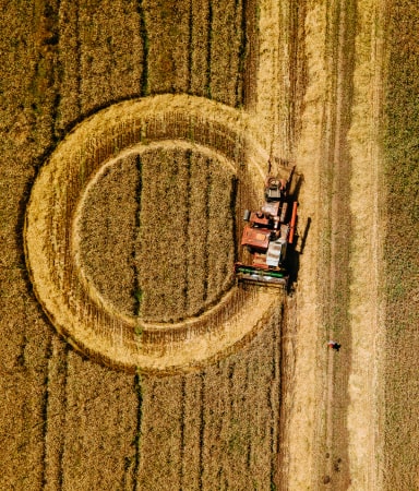 circular food economy