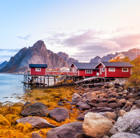 EV Charging Stations for companies, people and cities | Enel X