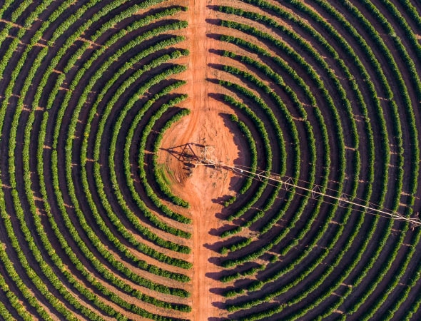 Aerial view of a farmed field