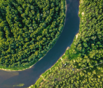 Vista dall'alto di un fiume che attraversa una foresta