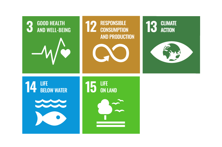 sdg
