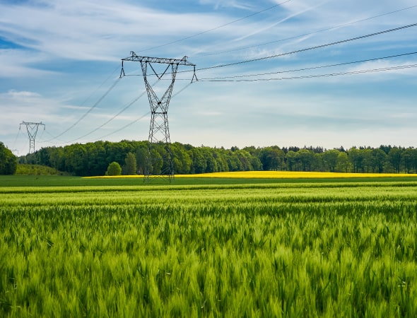 Electricity grid in a green field