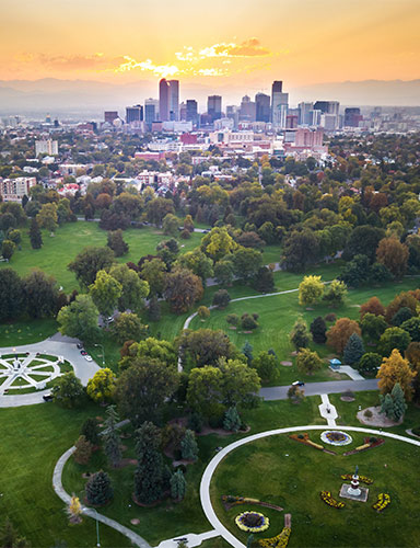 green landscape in an urban environment